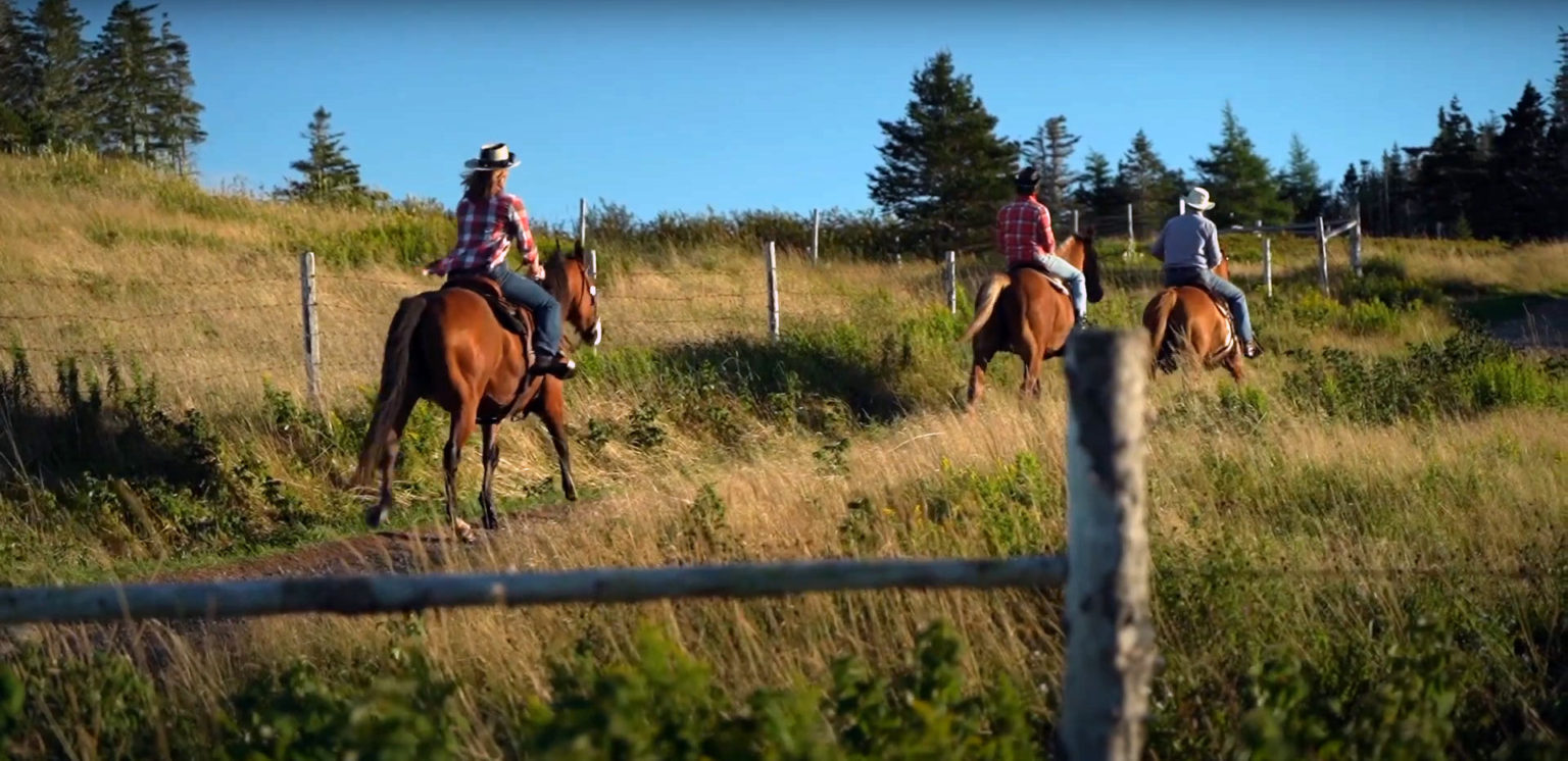 Smugglers Run | Tour Great Burin Island | Smugglers Cove Roadhouse